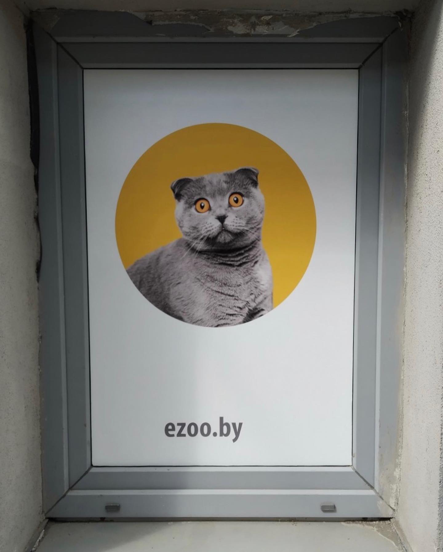 Наклейка ezoo.by на витрину зоомагазина